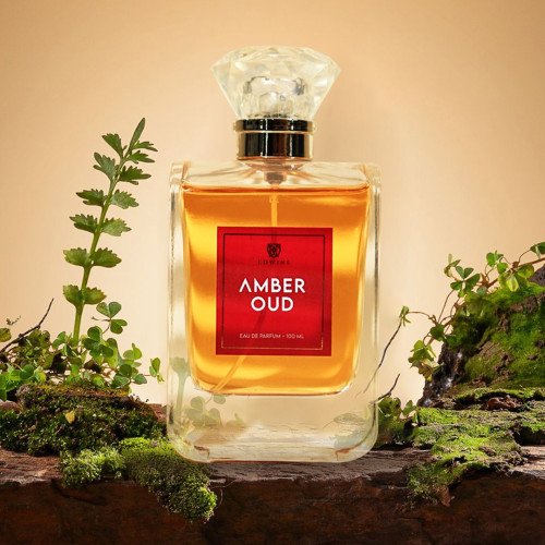 AMBER OUD